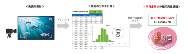 『FairLenz』で生け簀にいる魚の姿を撮影し、画像認識AIを用いて体重を推定することで、キロ単位の時価を評価する