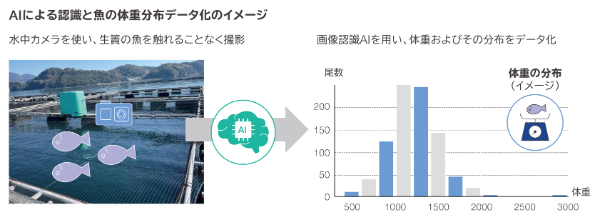 資金調達を目的にした担保価値の自動算出